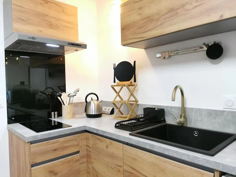 Apartment Le Ponton Des Sympetrums Aurec-Sur-Loire France